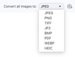 Wondershare UniConverter image converter