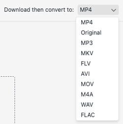 VidJuice supported formats