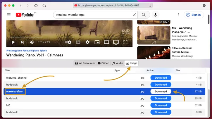 download images and YouTube thumbnail with VideoDuke